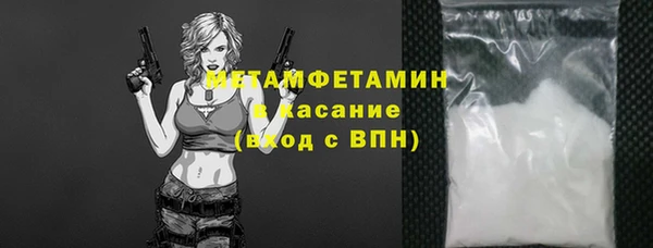 сатива Волоколамск
