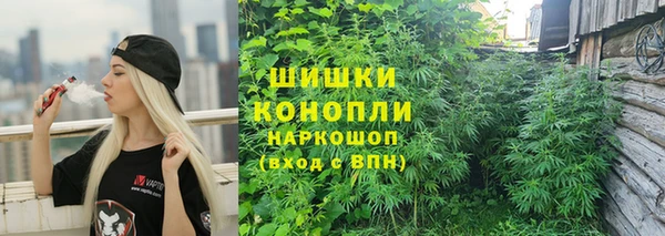 сатива Волоколамск