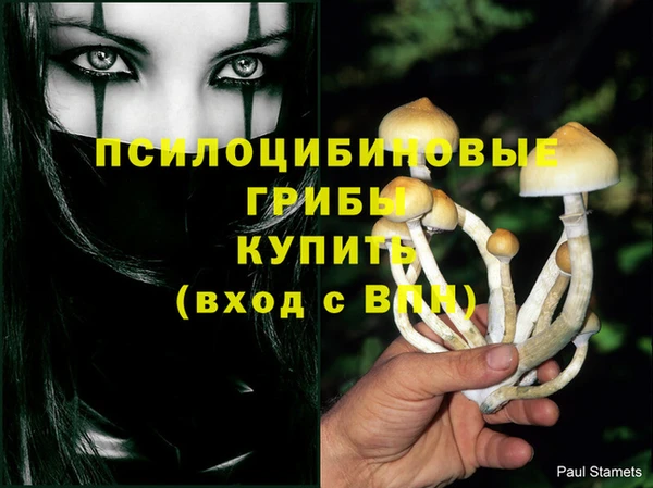 сатива Волоколамск