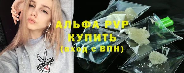 сатива Волоколамск